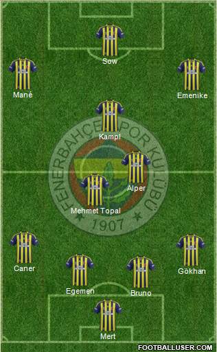 Fenerbahçe SK Formation 2014