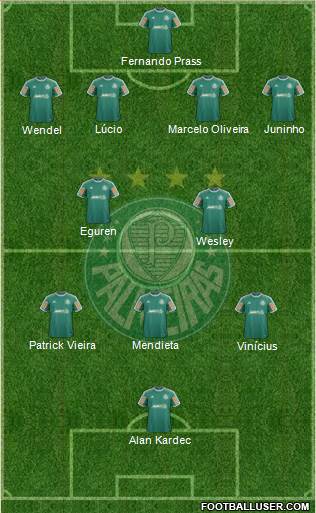 SE Palmeiras Formation 2014
