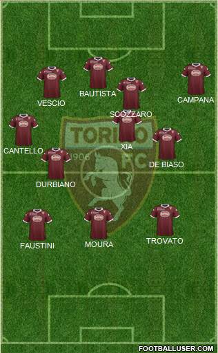 Torino Formation 2014