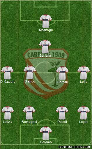 Carpi Formation 2014