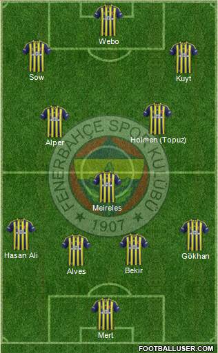 Fenerbahçe SK Formation 2014