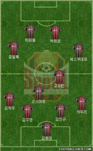 FC Seoul Formation 2014