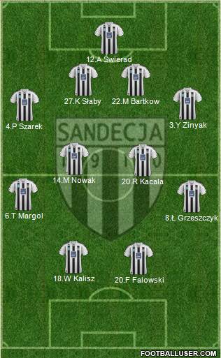 Sandecja Nowy Sacz Formation 2014