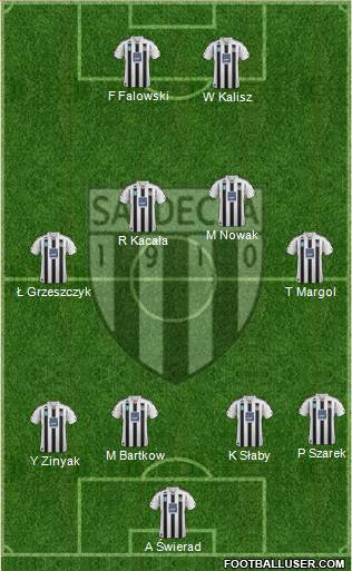 Sandecja Nowy Sacz Formation 2014