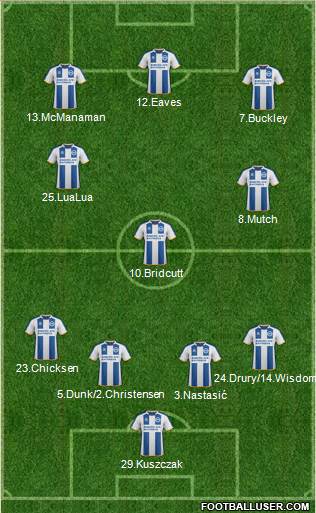 Brighton and Hove Albion Formation 2014