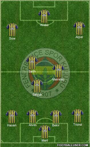 Fenerbahçe SK Formation 2014