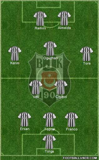 Besiktas JK Formation 2014