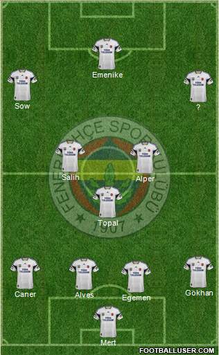 Fenerbahçe SK Formation 2014