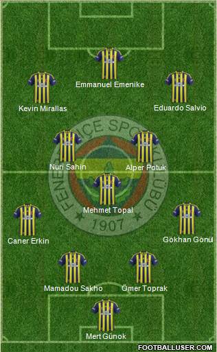 Fenerbahçe SK Formation 2014