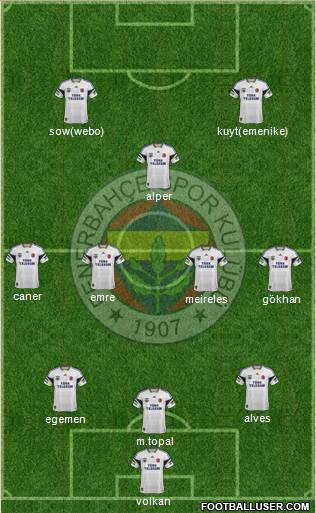 Fenerbahçe SK Formation 2014