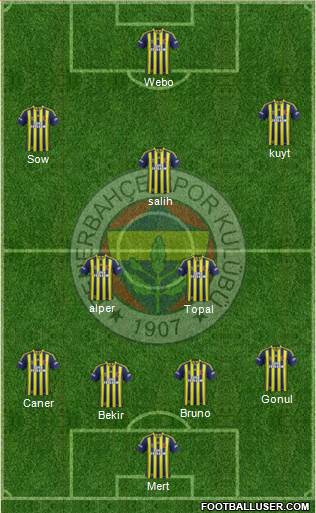 Fenerbahçe SK Formation 2014