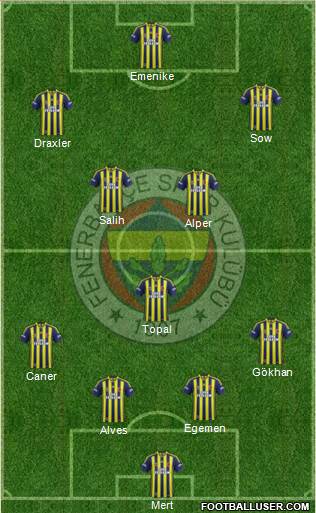 Fenerbahçe SK Formation 2014