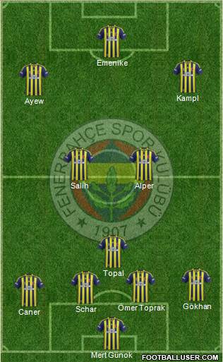 Fenerbahçe SK Formation 2014