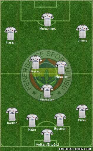 Fenerbahçe SK Formation 2014