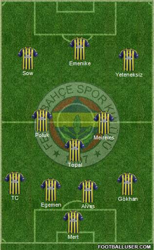 Fenerbahçe SK Formation 2014