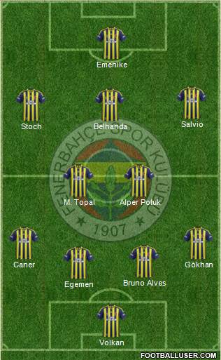 Fenerbahçe SK Formation 2014
