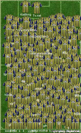 Fenerbahçe SK Formation 2014