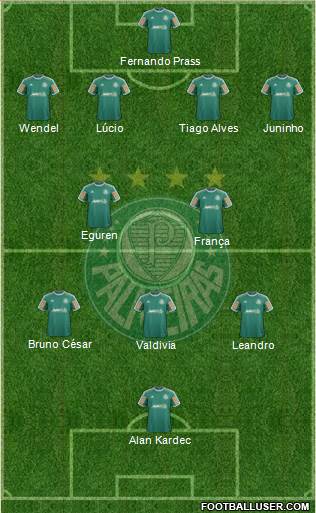 SE Palmeiras Formation 2014