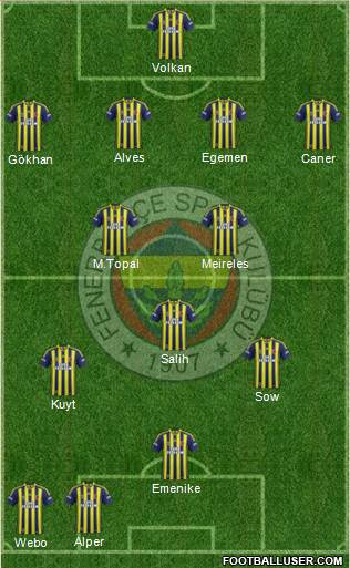Fenerbahçe SK Formation 2014