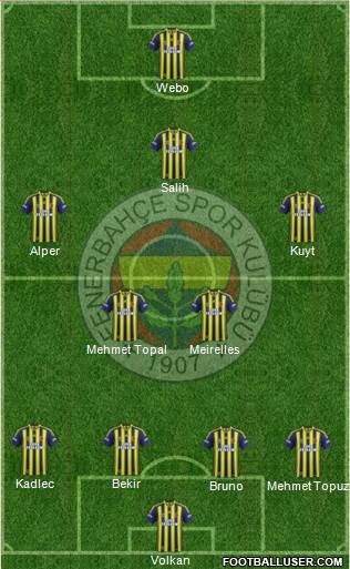 Fenerbahçe SK Formation 2014