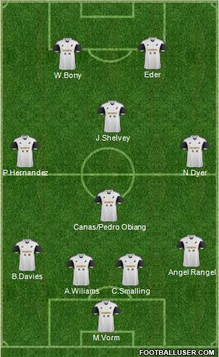 Swansea City Formation 2014