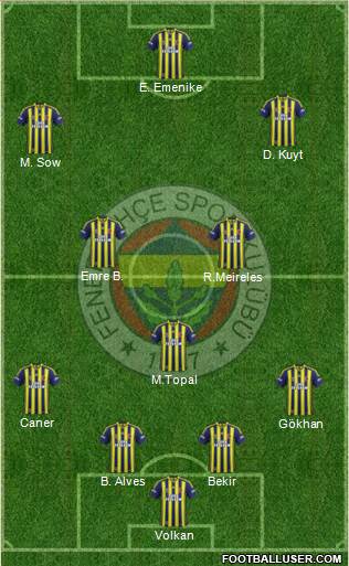 Fenerbahçe SK Formation 2014