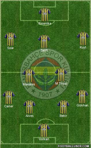 Fenerbahçe SK Formation 2014