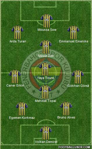 Fenerbahçe SK Formation 2014