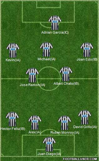 Newcastle United Formation 2014