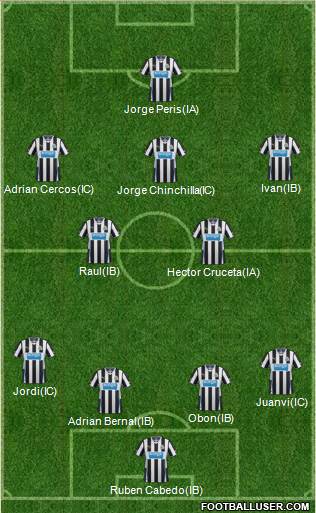 Newcastle United Formation 2014