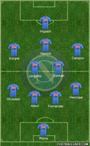 Napoli Formation 2014