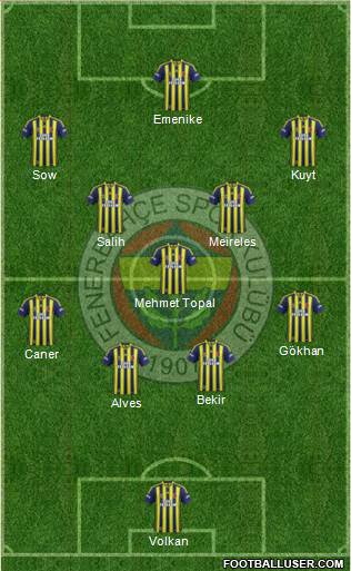 Fenerbahçe SK Formation 2014