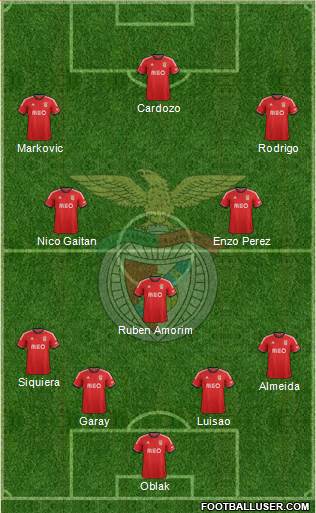 Sport Lisboa e Benfica - SAD Formation 2014