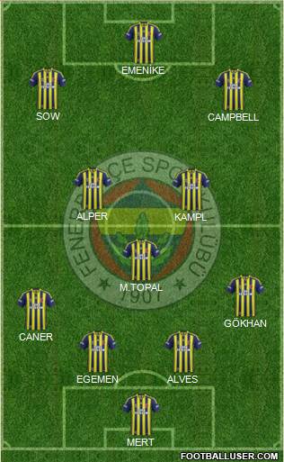 Fenerbahçe SK Formation 2014