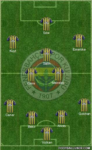 Fenerbahçe SK Formation 2014