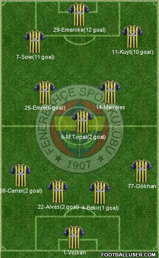 Fenerbahçe SK Formation 2014