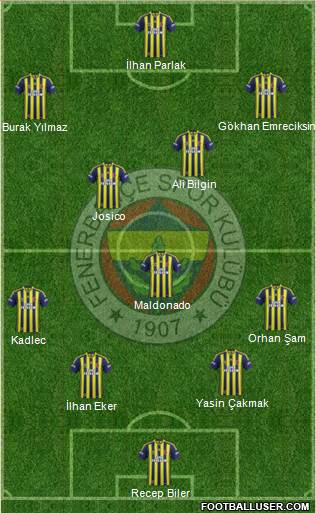 Fenerbahçe SK Formation 2014