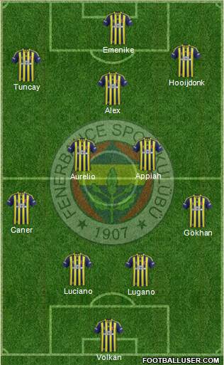 Fenerbahçe SK Formation 2014