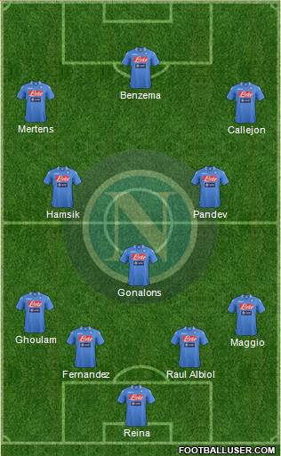 Napoli Formation 2014