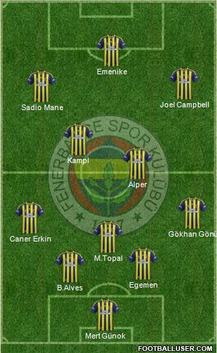 Fenerbahçe SK Formation 2014