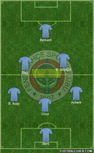 Fenerbahçe SK Formation 2014