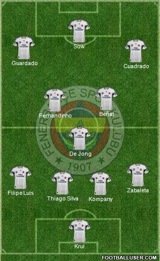 Fenerbahçe SK Formation 2014