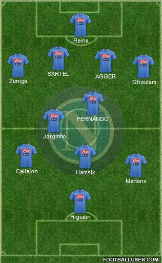 Napoli Formation 2014
