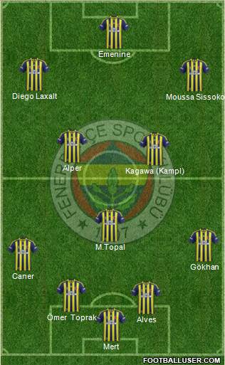 Fenerbahçe SK Formation 2014