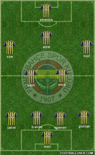 Fenerbahçe SK Formation 2014