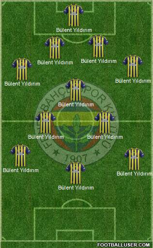 Fenerbahçe SK Formation 2014