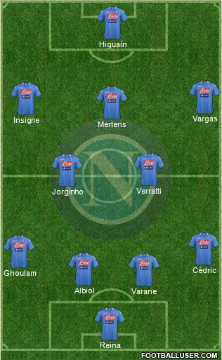 Napoli Formation 2014