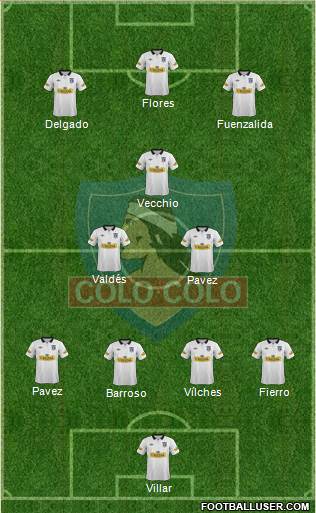 CSD Colo Colo Formation 2014