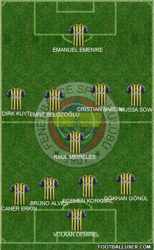 Fenerbahçe SK Formation 2014