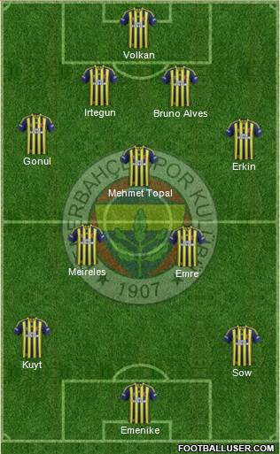 Fenerbahçe SK Formation 2014
